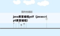 java黑客编程pdf（javascript黑客编程）