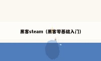 黑客steam（黑客零基础入门）