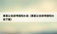 黑客公主辞爷回归小说（黑客公主辞爷回归小说下载）