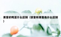 黑客的鸭蛋什么区别（骇客和黑客有什么区别）