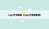 csgo中文破解（csgo手游破解版）