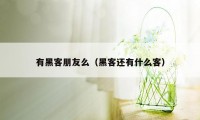 有黑客朋友么（黑客还有什么客）