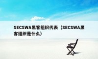 SECSWA黑客组织代表（SECSWA黑客组织是什么）