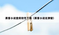 黑客小说查房软件下载（黑客小说无弹窗）