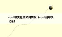 soul聊天记录如何转发（soul的聊天记录）