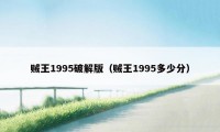 贼王1995破解版（贼王1995多少分）