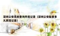 深圳公安系统查询开房记录（深圳公安能查多久宾馆记录）