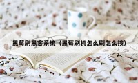 黑莓刷黑客系统（黑莓刷机怎么刷怎么按）