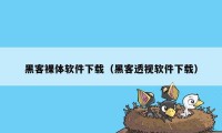 黑客裸体软件下载（黑客透视软件下载）