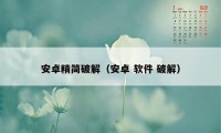 安卓精简破解（安卓 软件 破解）