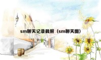 sm聊天记录截屏（sm聊天图）