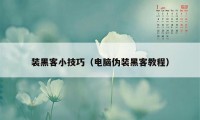 装黑客小技巧（电脑伪装黑客教程）