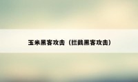 玉米黑客攻击（拦截黑客攻击）