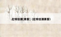 .比特狂潮[黑客]（比特狂潮黑客）