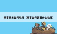 黑客技术盗号软件（黑客盗号需要什么软件）