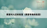 黑客对人们的危害（黑客带来的危害）