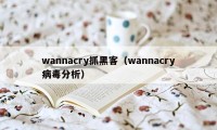 wannacry抓黑客（wannacry病毒分析）