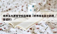 世界五大黑客学校在哪里(世界排名前十的黑客组织)