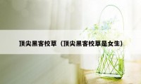 顶尖黑客校草（顶尖黑客校草是女生）