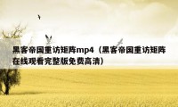 黑客帝国重访矩阵mp4（黑客帝国重访矩阵在线观看完整版免费高清）