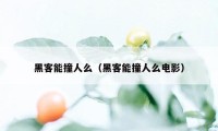 黑客能撞人么（黑客能撞人么电影）