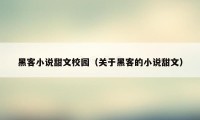 黑客小说甜文校园（关于黑客的小说甜文）