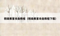 初级黑客攻击教程（初级黑客攻击教程下载）