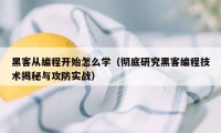 黑客从编程开始怎么学（彻底研究黑客编程技术揭秘与攻防实战）