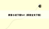 黑客小说下载txt（黑客全文下载）