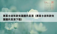 黑客小说年龄文案图片高清（黑客小说年龄文案图片高清下载）