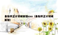 备胎转正计划破解版exo（备胎转正计划破解版）