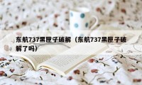 东航737黑匣子破解（东航737黑匣子破解了吗）