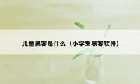 儿童黑客是什么（小学生黑客软件）