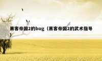 黑客帝国2的bug（黑客帝国2的武术指导）