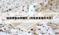 网络黑客分析图片（网络黑客图片大全）