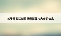 关于黑客江湖再见舞蹈图片大全的信息