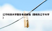 辽宁科技大学魏东电话邮箱（魏晓东辽宁大学）