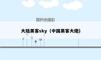 大陆黑客sky（中国黑客大佬）