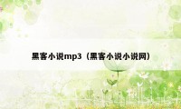 黑客小说mp3（黑客小说小说网）