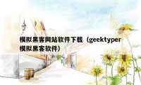 模拟黑客网站软件下载（geektyper模拟黑客软件）