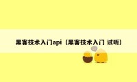 黑客技术入门api（黑客技术入门 试听）