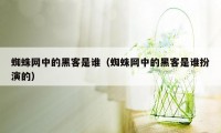 蜘蛛网中的黑客是谁（蜘蛛网中的黑客是谁扮演的）