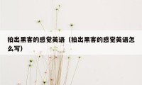 拍出黑客的感觉英语（拍出黑客的感觉英语怎么写）