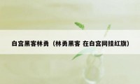 白宫黑客林勇（林勇黑客 在白宫网挂红旗）