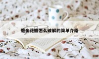 魔金花瓣怎么破解的简单介绍