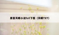 黑客天眼小说txt下载（天眼TXT）