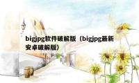 bigjpg软件破解版（bigjpg最新安卓破解版）