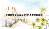 手机黑客壁纸app（手机黑客壁纸动态）