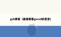 gsh黑客（最强黑客gscsd的意思）