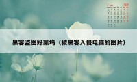 黑客盗图好莱坞（被黑客入侵电脑的图片）